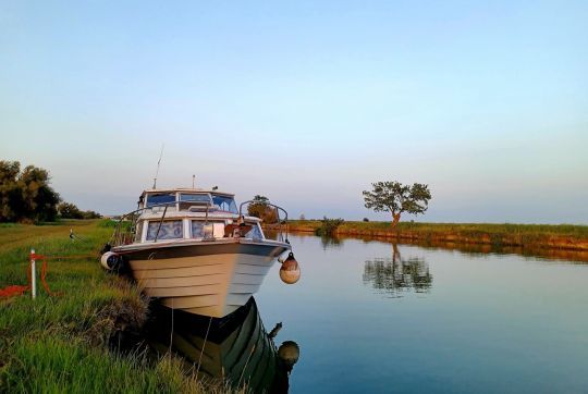Halte en Camargue