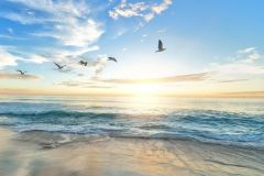 Vent très faible au lever du soleil